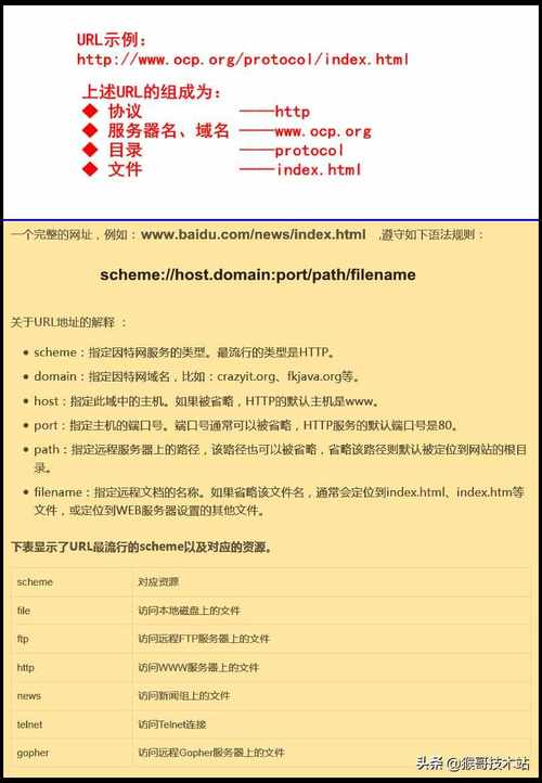 万维网如何解析域名-图1 万维网如何解析域名-图1