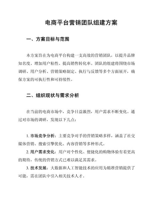 电商网络平台搭建方案-图1