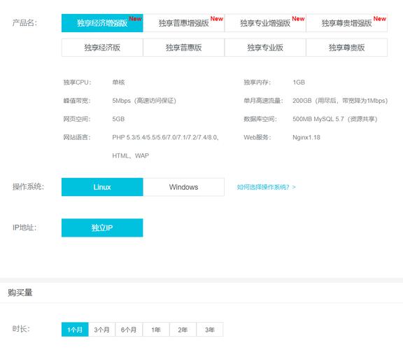 如何搭建虚拟主机网站-图2