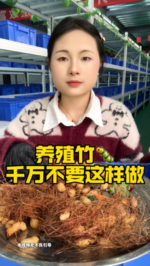 未来五年养竹虫前景如何，未来五年养竹虫前景到底如何？-图3