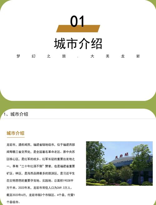 龙岩搭建网站，龙岩搭建网站，哪家靠谱又高效？-图2