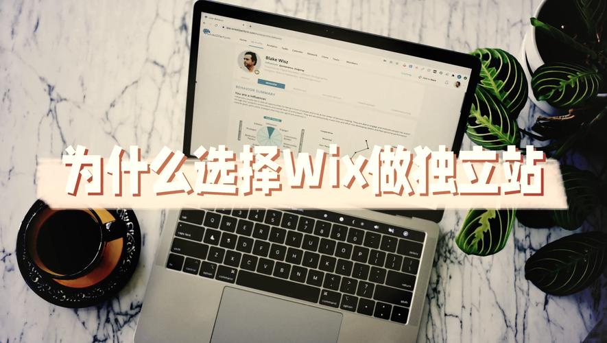 下载wix搭建的网站，如何下载用Wix搭建的网站？-图3