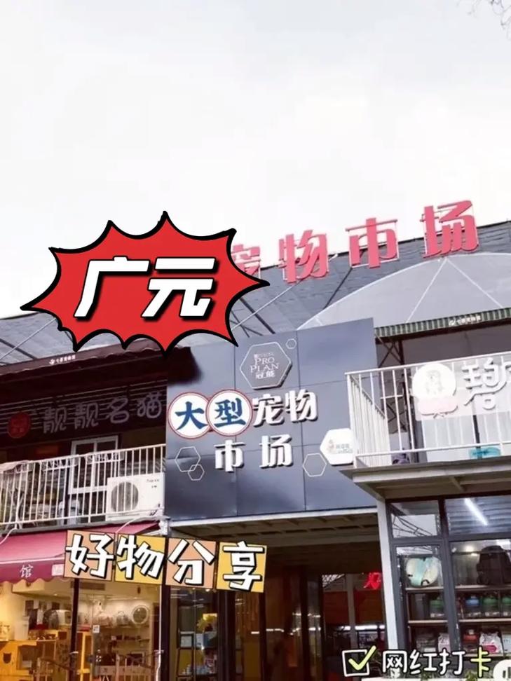 广元微商城搭建好，广元微商城搭建好，如何运营推广？-图1