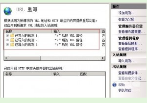 iis7如何设置dz伪静态,iis7下如何设置dz伪静态?-图1 iis7如何设置dz伪静态,iis7下如何设置dz伪静态?-图1