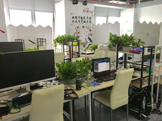 企业网搭建公司,企业网搭建公司如何选?-图2 企业网搭建公司,企业网搭建公司如何选?-图2