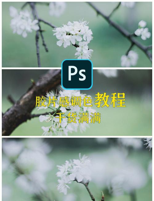 ps如何将照片调成画艺,PS怎么把照片调成艺术画?-图2 ps如何将照片调成画艺,PS怎么把照片调成艺术画?-图2