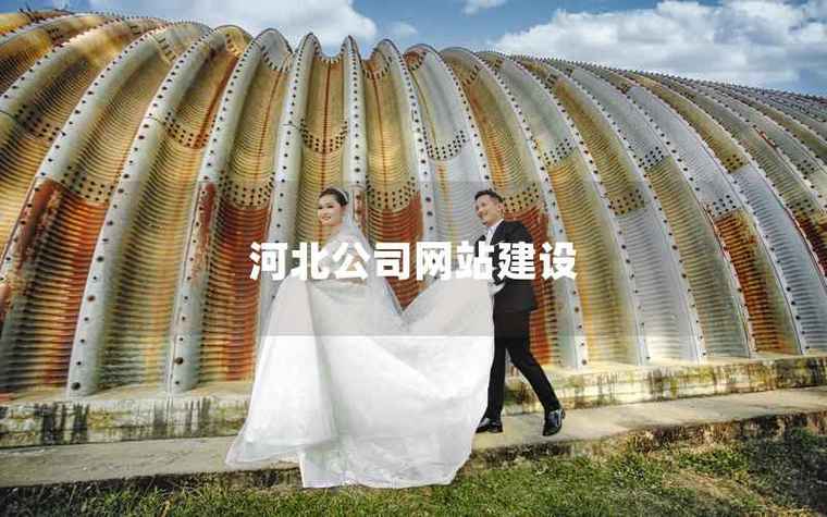 石家庄专业网站搭建,石家庄专业网站搭建,如何选对服务商?-图3 石家庄专业网站搭建,石家庄专业网站搭建,如何选对服务商?-图3