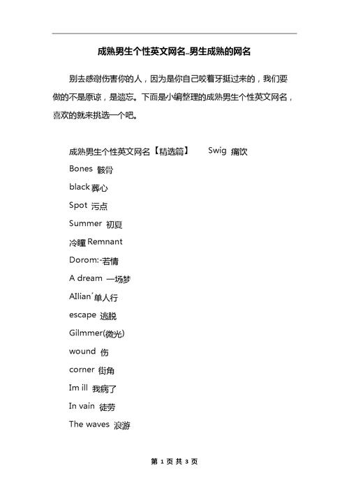 英文网站搭建申请,英文网站搭建申请怎么操作?-图3 英文网站搭建申请,英文网站搭建申请怎么操作?-图3