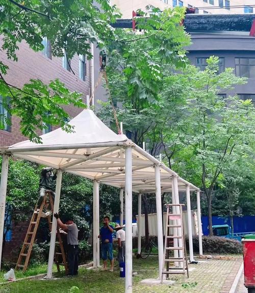 社区分站免费搭建,社区分站免费搭建,有何条件与限制?-图3 社区分站免费搭建,社区分站免费搭建,有何条件与限制?-图3