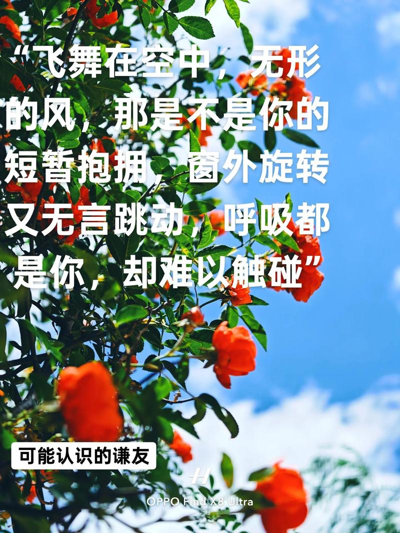 如何表达自己像风一样,如何用文字精准捕捉风的自由与灵动?-图3 如何表达自己像风一样,如何用文字精准捕捉风的自由与灵动?-图3
