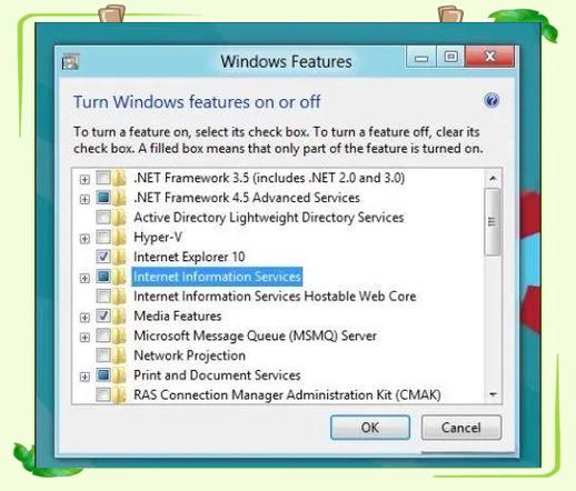 windows如何删除iis角色会有问题吗?删除IIS角色会有问题吗?-图3 windows如何删除iis角色会有问题吗?删除IIS角色会有问题吗?-图3