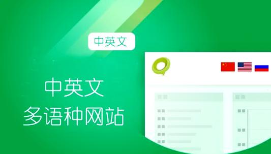 网站如何做中英文效果，网站如何实现中英文双语效果？-图2