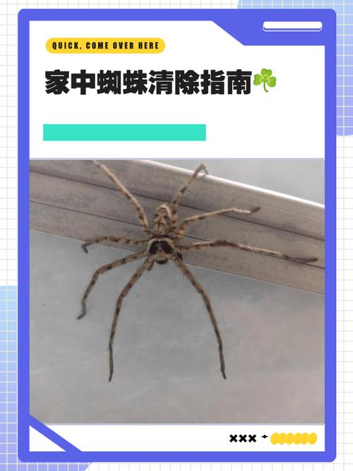 百度蜘蛛是如何抓取的,百度蜘蛛抓取的底层逻辑是什么?-图2 百度蜘蛛是如何抓取的,百度蜘蛛抓取的底层逻辑是什么?-图2