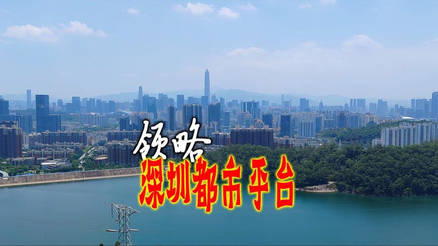 深圳搭建电商平台,深圳搭建电商平台,有何独特优势?-图1 深圳搭建电商平台,深圳搭建电商平台,有何独特优势?-图1