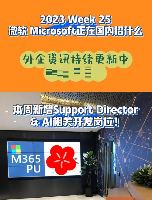 微软aa招聘，微软AA招聘是什么？-图3