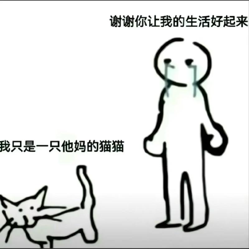 如何形容生活一团糟，生活一团糟时，该如何形容这混乱？-图1