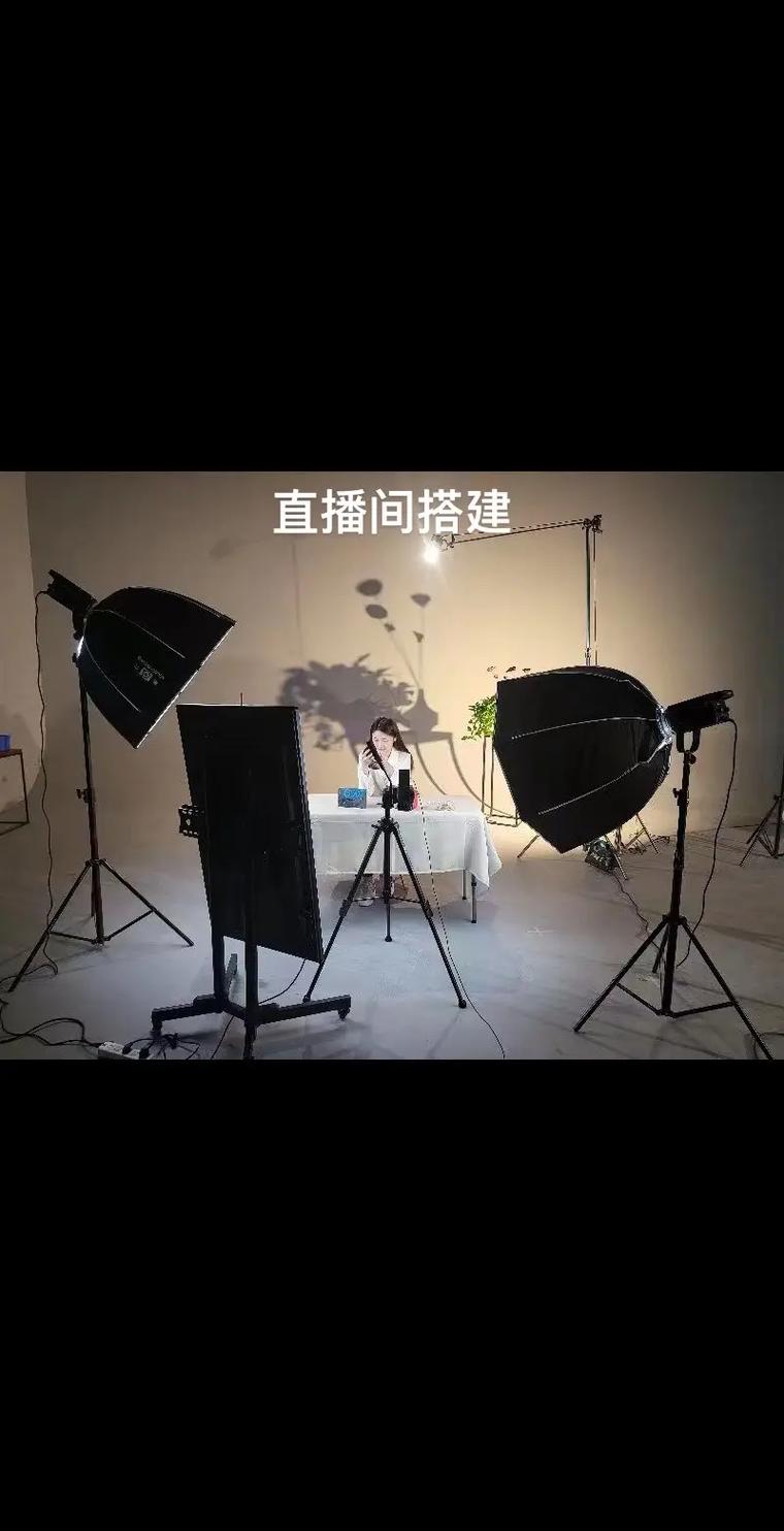 搭建视频播放站,视频播放站搭建,从零开始怎么做?-图2 搭建视频播放站,视频播放站搭建,从零开始怎么做?-图2