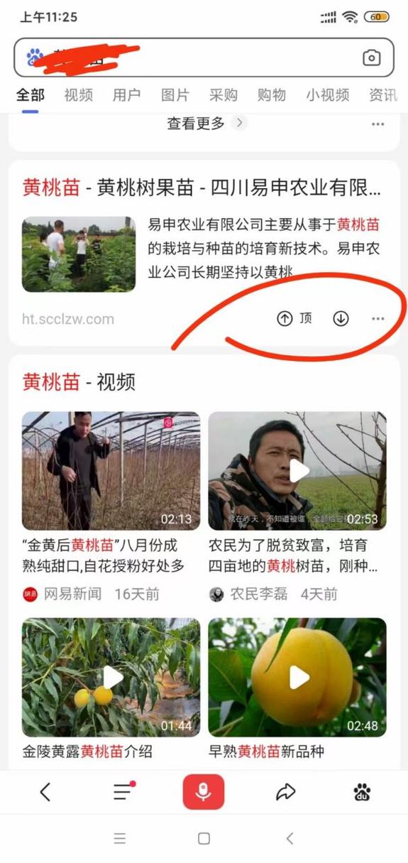 如何在百度里自然排名,百度如何自然排名?-图3 如何在百度里自然排名,百度如何自然排名?-图3