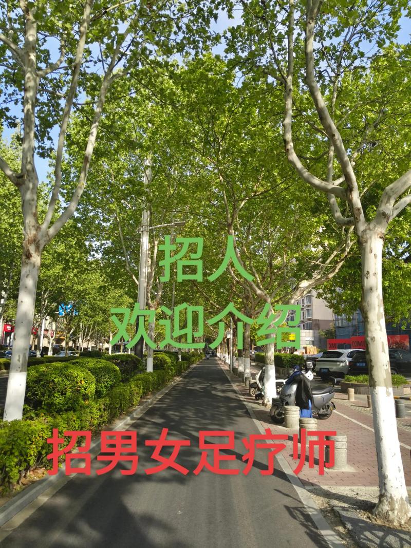 hollywell南京招聘,Hollywell南京招聘哪些岗位?薪资待遇如何?-图3 hollywell南京招聘,Hollywell南京招聘哪些岗位?薪资待遇如何?-图3