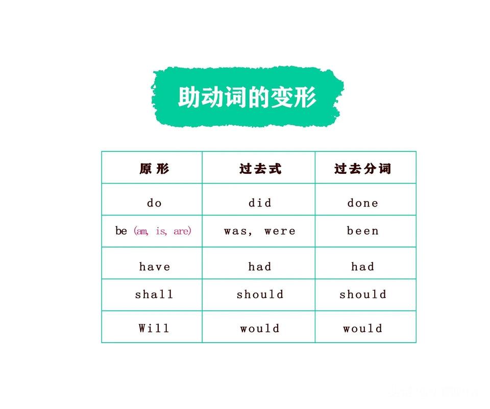 如何讲解助动词为小学生,如何让小学生轻松理解助动词用法?-图2 如何讲解助动词为小学生,如何让小学生轻松理解助动词用法?-图2