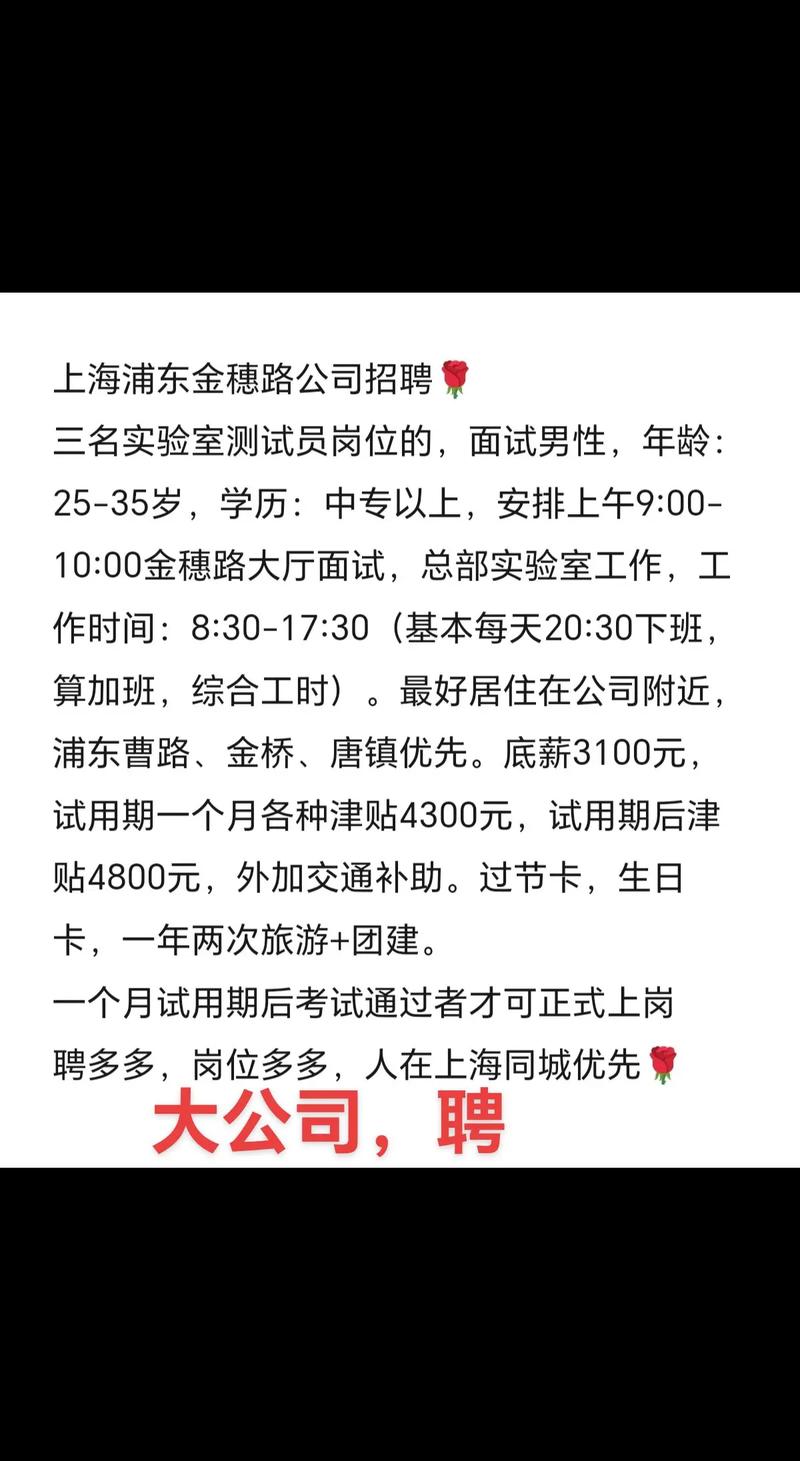 上海biglots招聘,上海BigLots招聘有哪些岗位和要求?-图2 上海biglots招聘,上海BigLots招聘有哪些岗位和要求?-图2