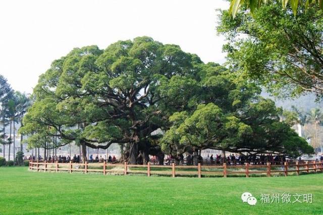 福州微信搭建,福州微信搭建怎么选?哪家靠谱又高效?-图2 福州微信搭建,福州微信搭建怎么选?哪家靠谱又高效?-图2