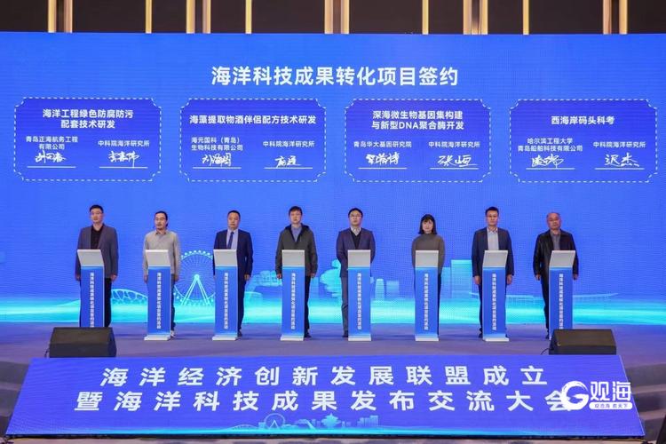 青岛网站平台搭建，青岛网站平台搭建，如何高效定制？-图2