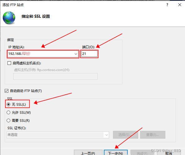windows vps搭建ftp，Windows VPS如何快速搭建FTP？-图2