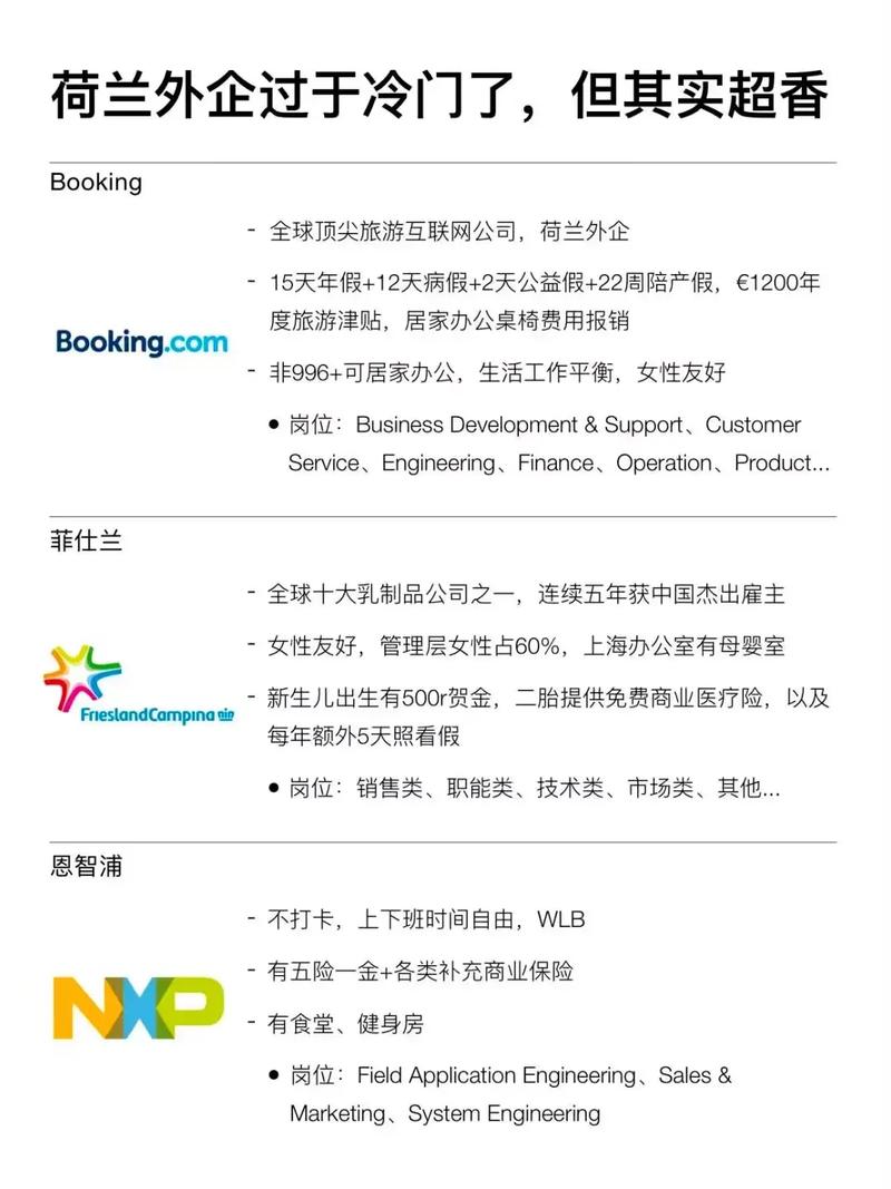 荷兰外企招聘,荷兰外企招聘有何要求与优势?-图3 荷兰外企招聘,荷兰外企招聘有何要求与优势?-图3