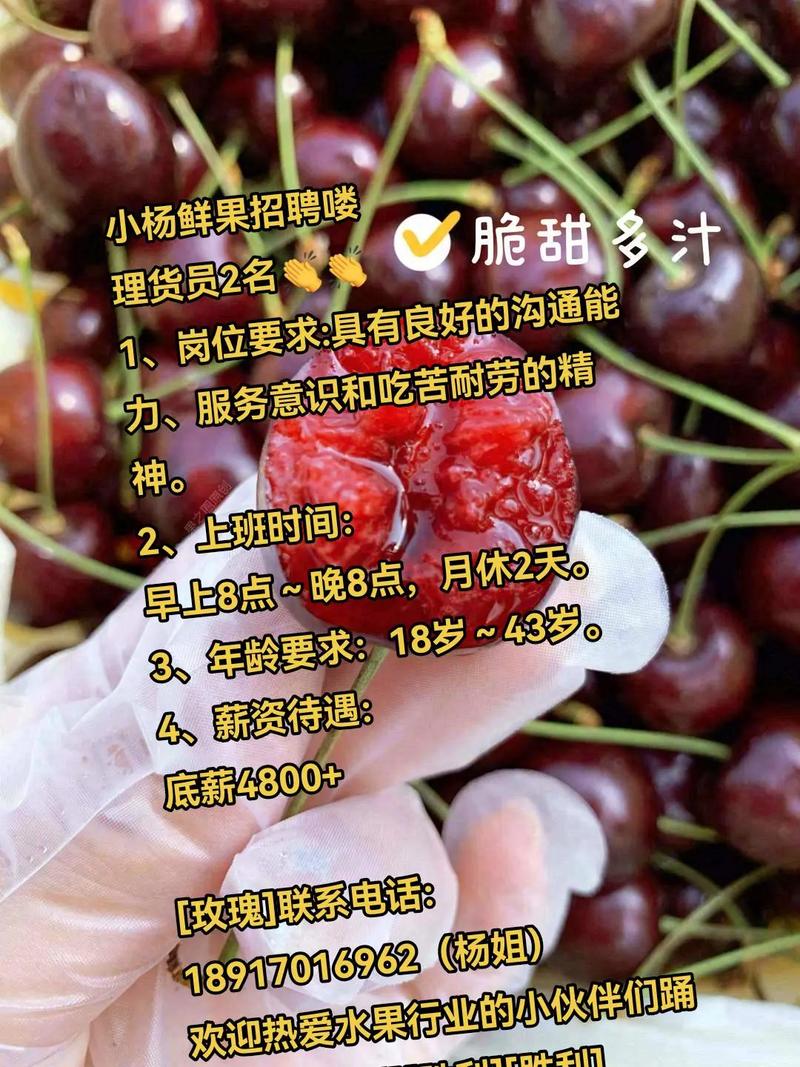 鲜果网 招聘，鲜果网招聘什么岗位？要求有哪些？-图2