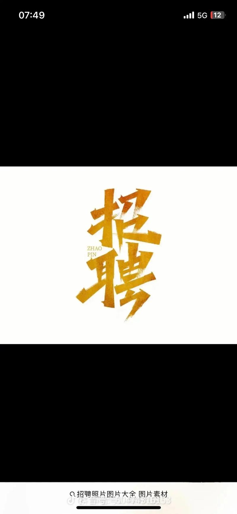 v lines招聘，v lines招聘，具体岗位和要求是什么？-图2