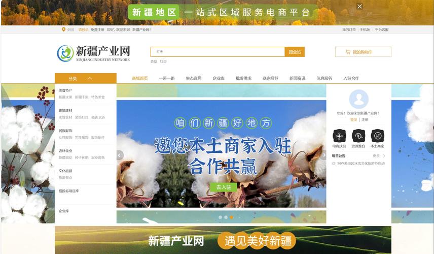 新疆网站搭建开发，新疆网站搭建开发，如何高效定制？-图1