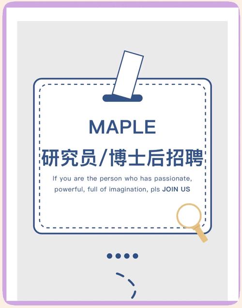 amuse korea招聘，amuse korea招聘有何具体要求？-图1