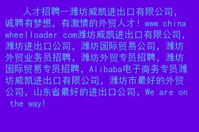 360小说招聘,360小说招聘什么岗位?薪资待遇如何?-图2 360小说招聘,360小说招聘什么岗位?薪资待遇如何?-图2