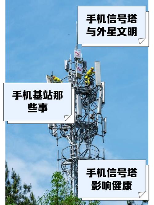 手机站代搭建,手机站代搭建,靠谱吗?-图2 手机站代搭建,手机站代搭建,靠谱吗?-图2