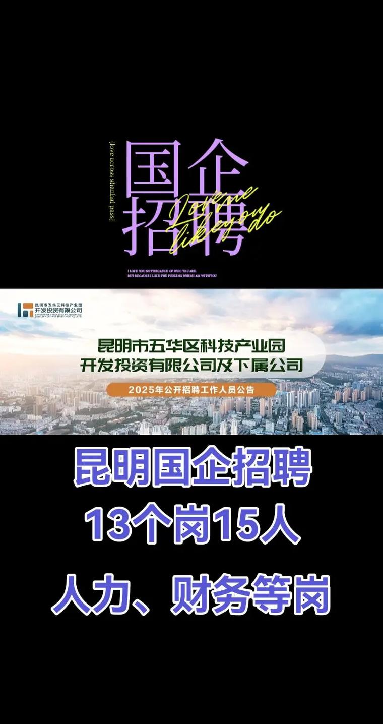 昆明 VBA 招聘,昆明VBA招聘,具体要求有哪些?-图1 昆明 VBA 招聘,昆明VBA招聘,具体要求有哪些?-图1