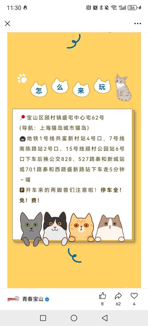 社区猫 招聘，社区猫招聘，是为啥招员工呀？-图3