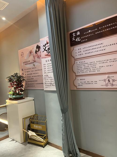 如何将养生与花店相结合,养生花店,如何让花艺滋养身心?-图3 如何将养生与花店相结合,养生花店,如何让花艺滋养身心?-图3