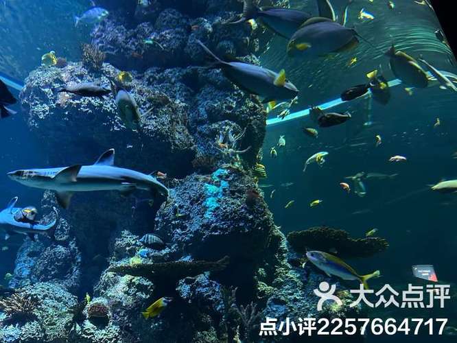 新加坡sea招聘,新加坡SEA招聘,薪资待遇如何?-图3 新加坡sea招聘,新加坡SEA招聘,薪资待遇如何?-图3