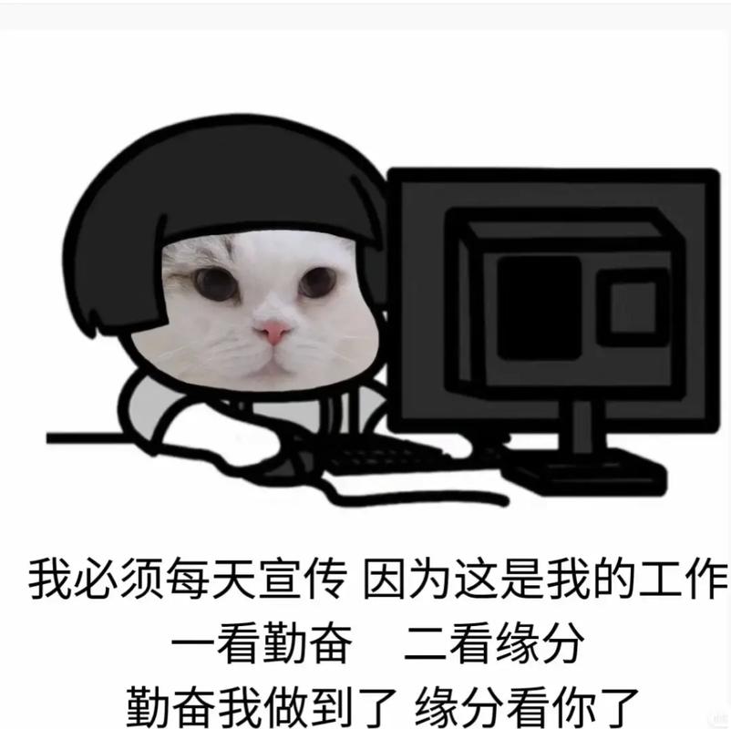 奇葩招聘语,奇葩招聘语为何如此出格?-图2 奇葩招聘语,奇葩招聘语为何如此出格?-图2