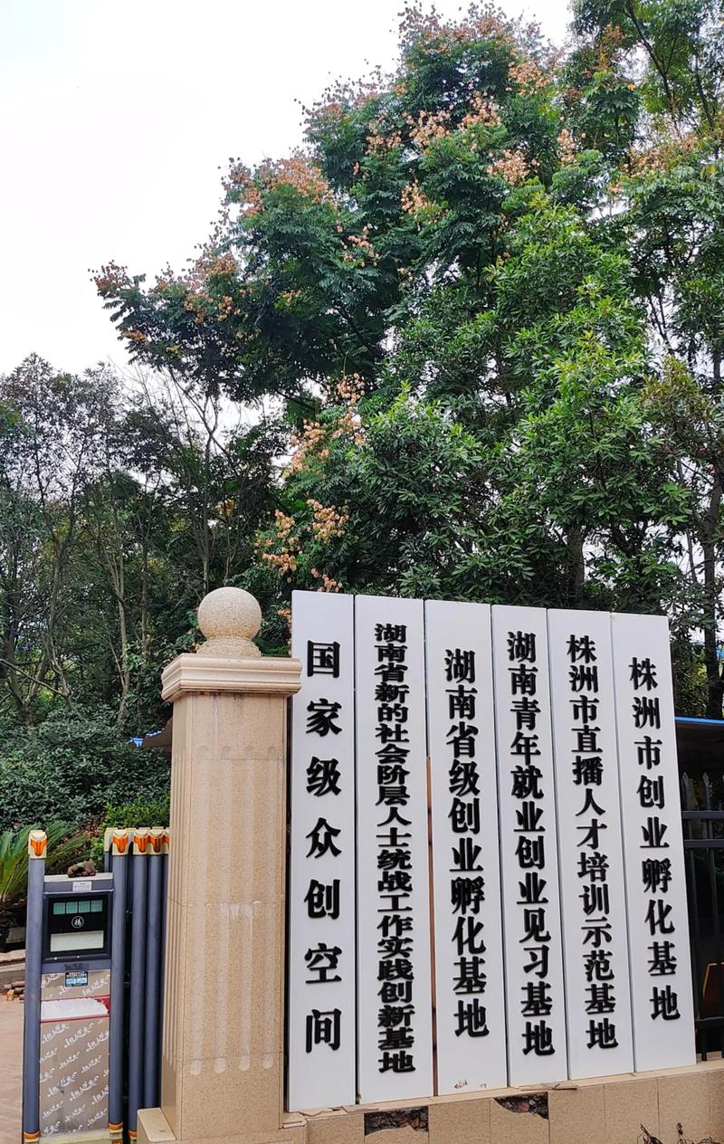 株洲网站搭建,株洲网站搭建怎么选?价格、流程、注意事项有哪些?-图3 株洲网站搭建,株洲网站搭建怎么选?价格、流程、注意事项有哪些?-图3