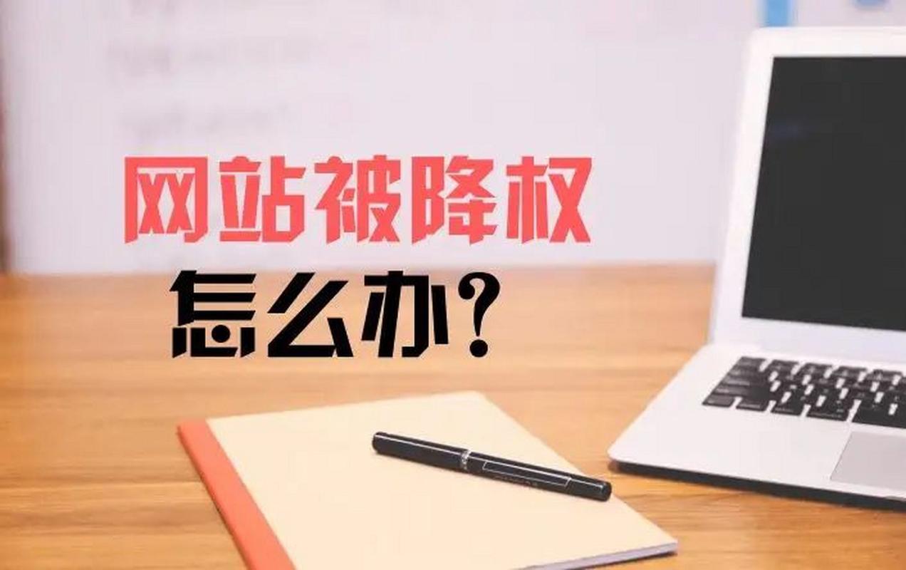 网站降权如何百度申诉，网站降权了，百度申诉怎么操作？-图3