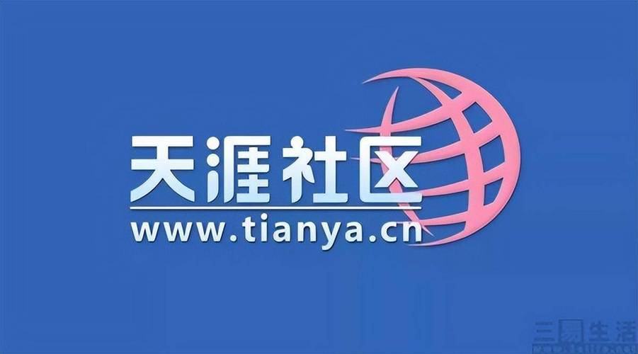 社区bbs搭建，社区BBS搭建需要哪些关键步骤？-图2