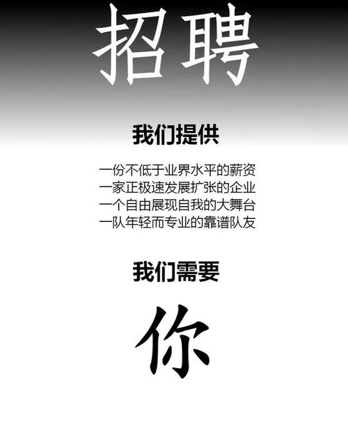 明星招聘前途，明星招聘前途如何？-图3