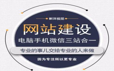 小洋网站搭建,小洋网站搭建怎么快速上手?-图3 小洋网站搭建,小洋网站搭建怎么快速上手?-图3