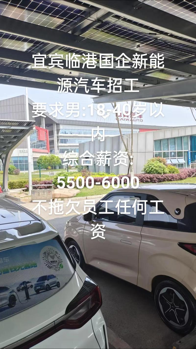 洋车港 招聘,洋车港招聘什么岗位?要求有哪些?-图3 洋车港 招聘,洋车港招聘什么岗位?要求有哪些?-图3