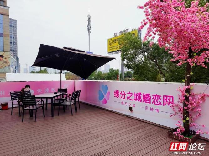 婚恋网站搭建，婚恋网站如何搭建才能高效匹配用户？-图1