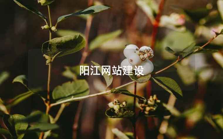 阳江网站搭建,阳江网站搭建,企业如何快速落地?-图2 阳江网站搭建,阳江网站搭建,企业如何快速落地?-图2
