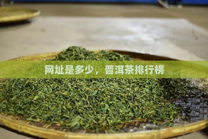 普洱网站搭建,普洱网站搭建要多少钱?-图3 普洱网站搭建,普洱网站搭建要多少钱?-图3