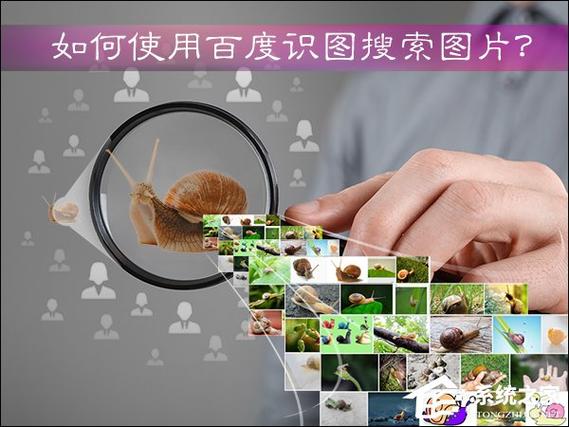 百度搜索如何让图片,百度搜索如何让图片?优化技巧有哪些?-图3 百度搜索如何让图片,百度搜索如何让图片?优化技巧有哪些?-图3